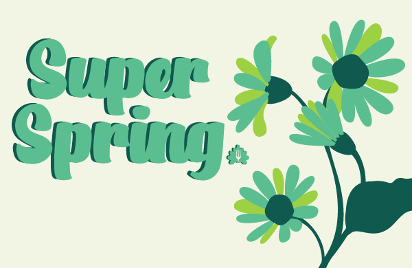 SPRING 1