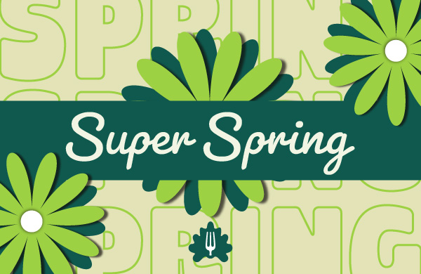 SPRING 3